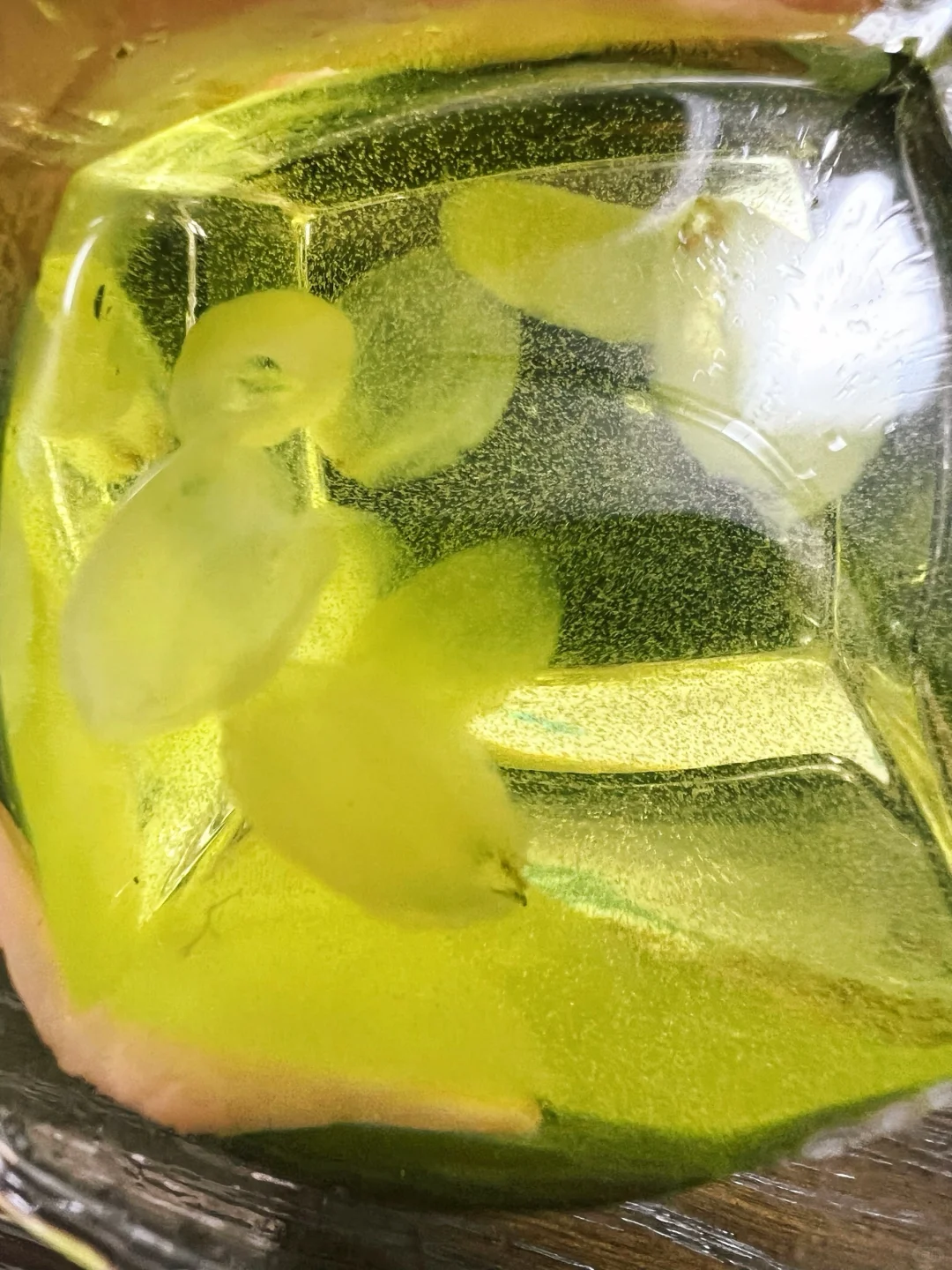 哪个地域的小伙伴能认领一下