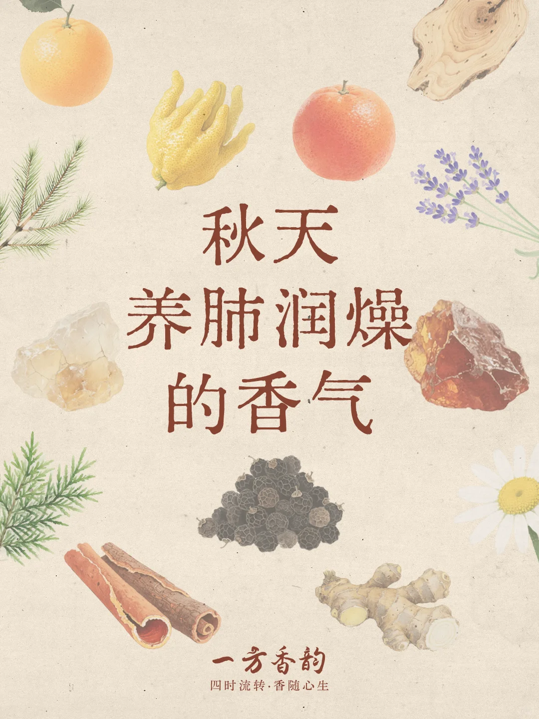 香文化｜初秋养肺润燥的香气