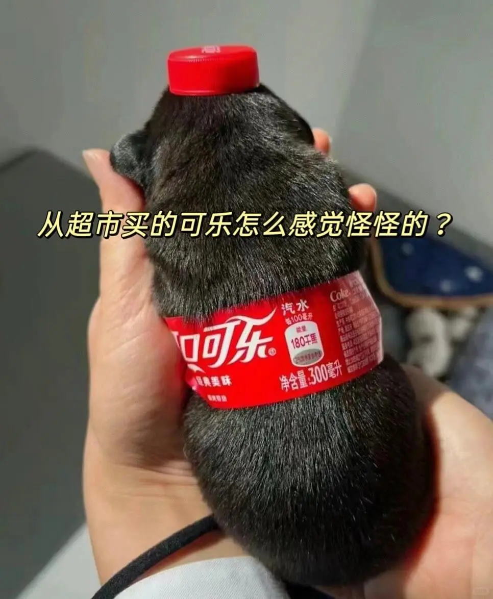 到底什么是可乐❓
