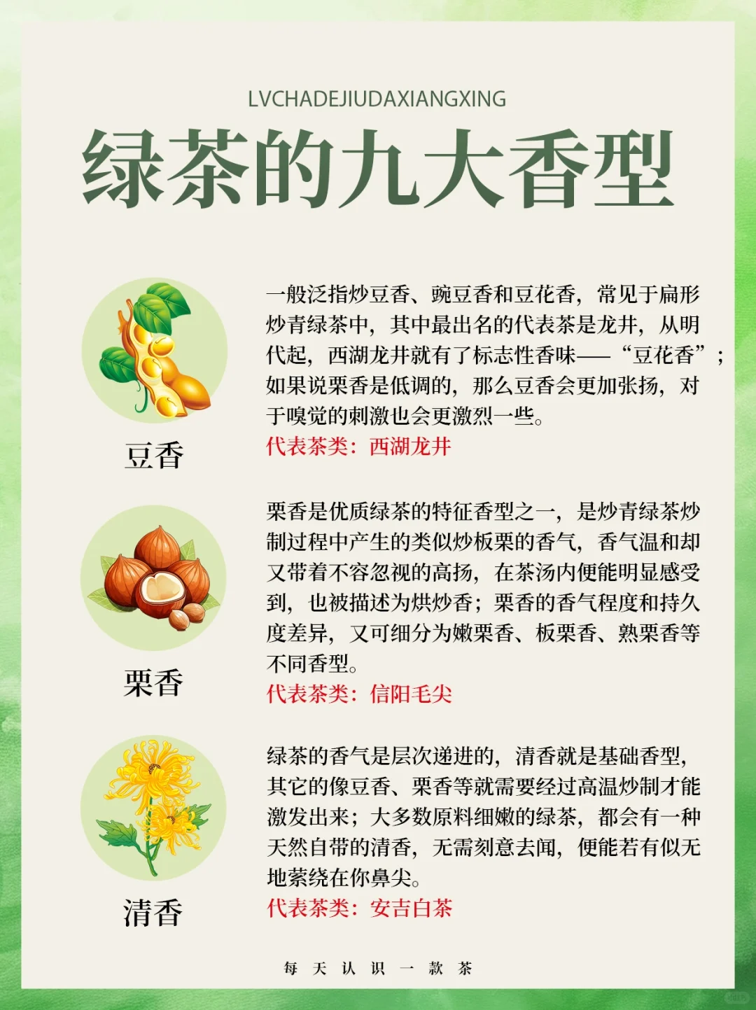 茶知识｜绿茶的九大香型?