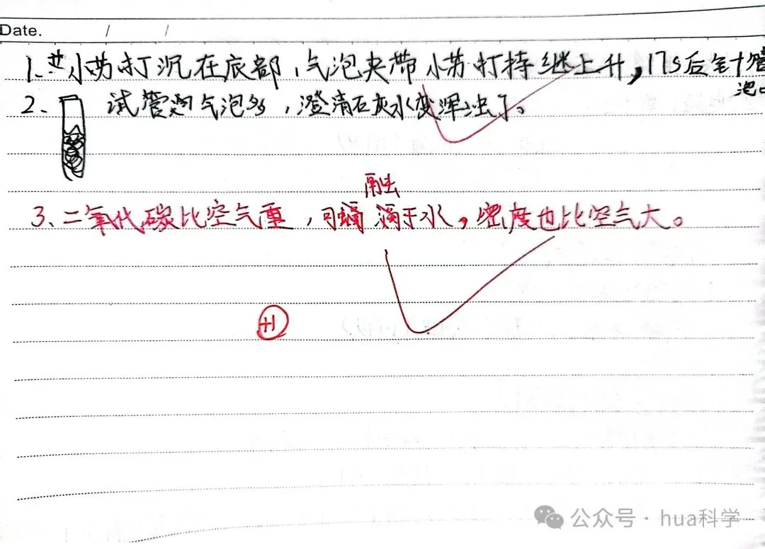 科学实验:自制汽水