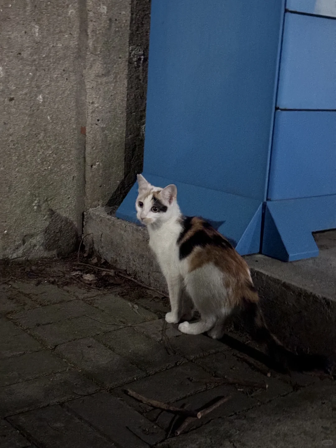 好漂亮的杏仁奶?