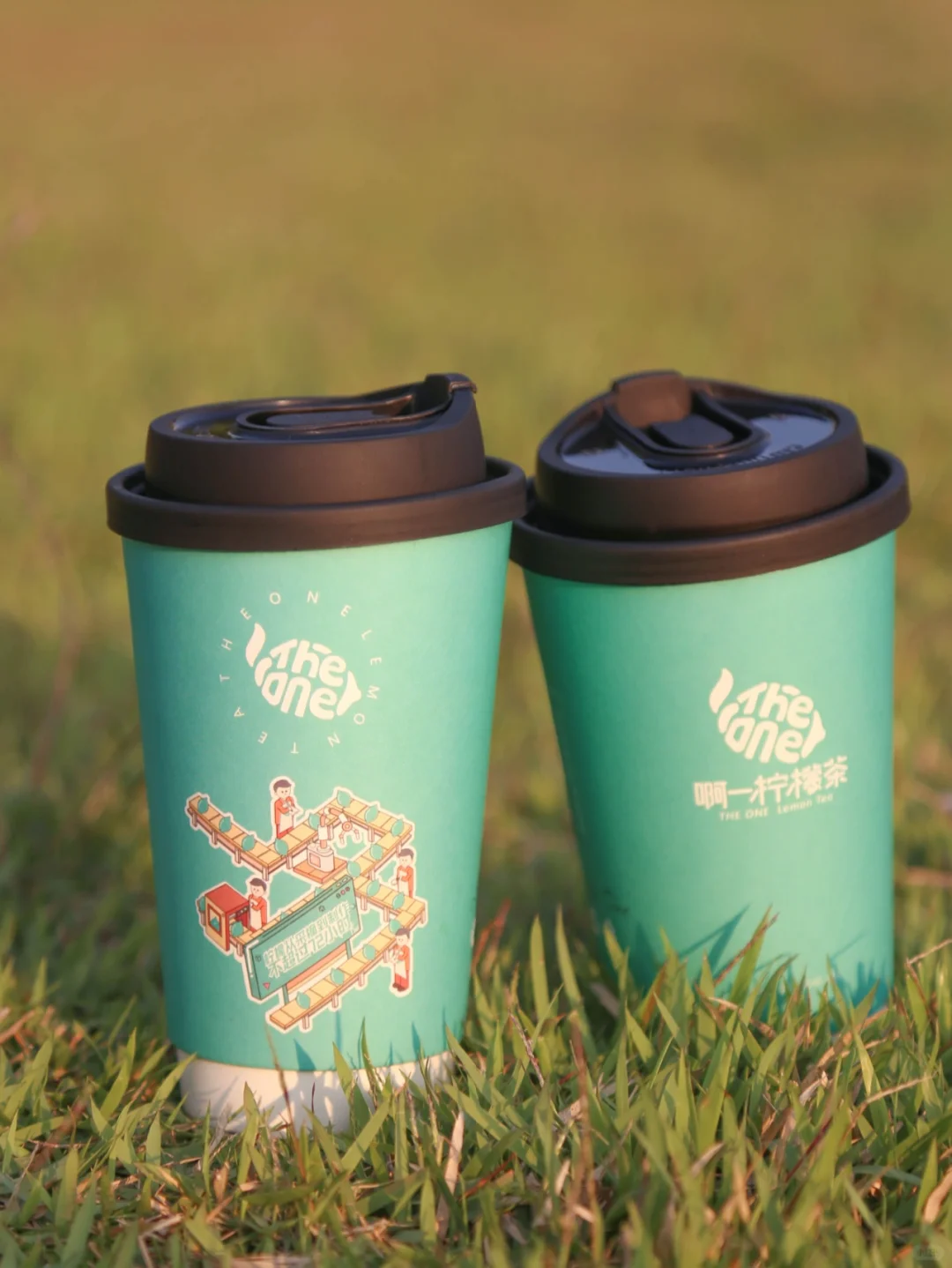 吹爆这杯热饮销量冠军|姜母泡奶?