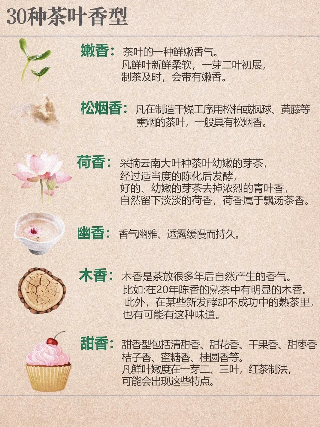茶知识｜3⃣️0⃣️种茶叶香型，知道一半算你厉害