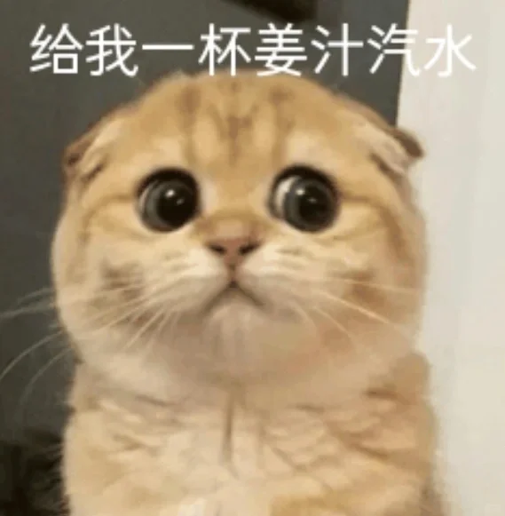 突然get了姜汁汽水的好喝