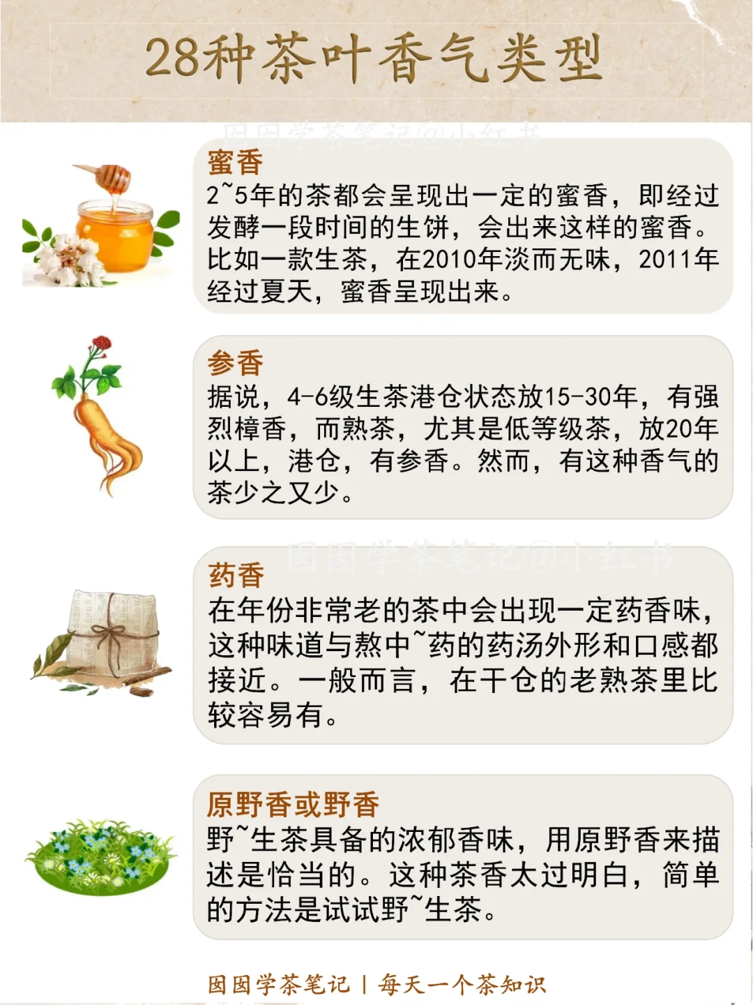 盘点❗️28种常见茶叶香气?你闻过几种？