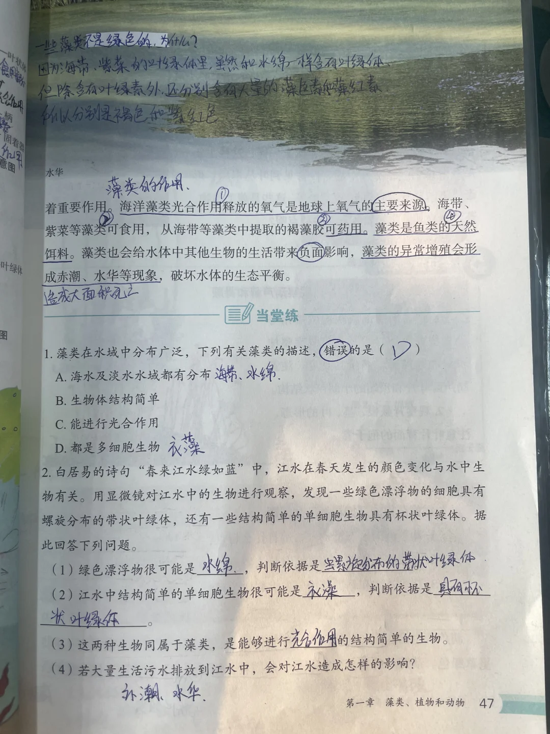 2024新冀少版七年级上