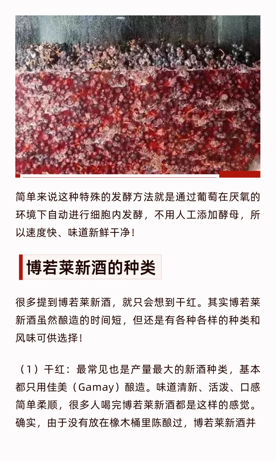 别想太多，博若莱新酒就是给你随便喝的！