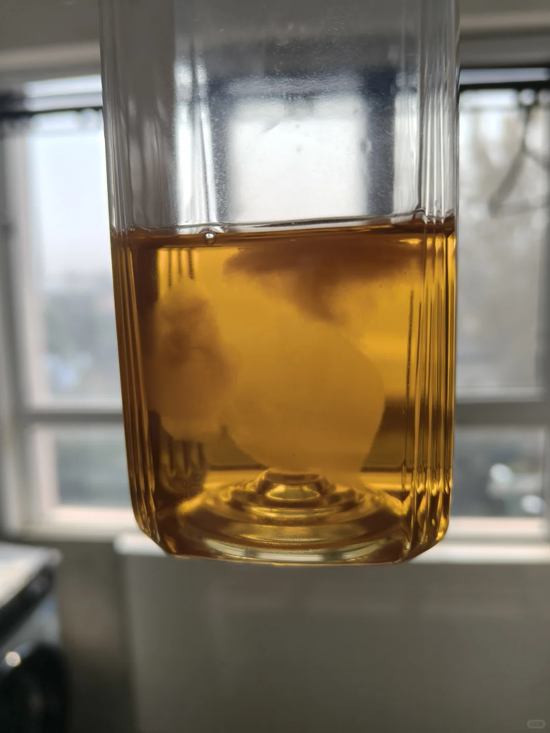 海绵宝宝入侵东方树叶