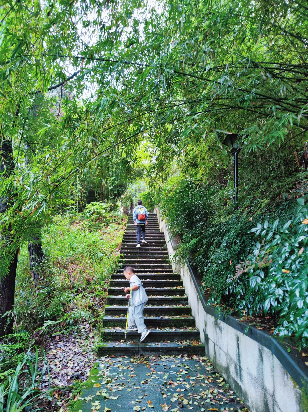 ?重庆遛娃|亲子环线徒步——南山春天岭