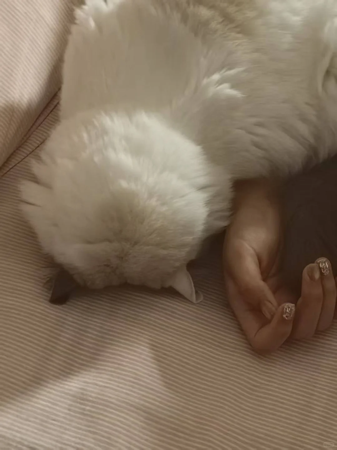 我生日那天永远的失去了可乐宝宝