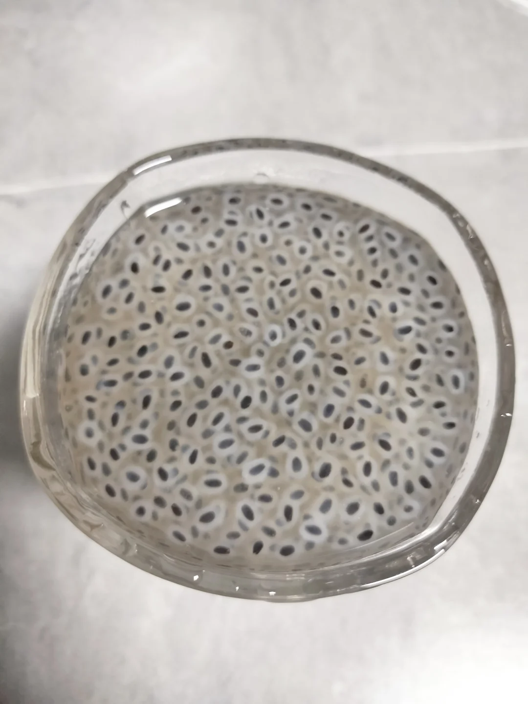 这是人类能喝的饮料吗？！