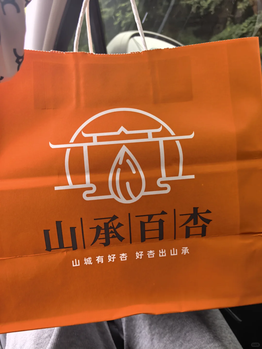 山承白杏承德美食