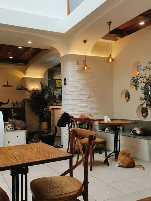 猫咖兼职220一天