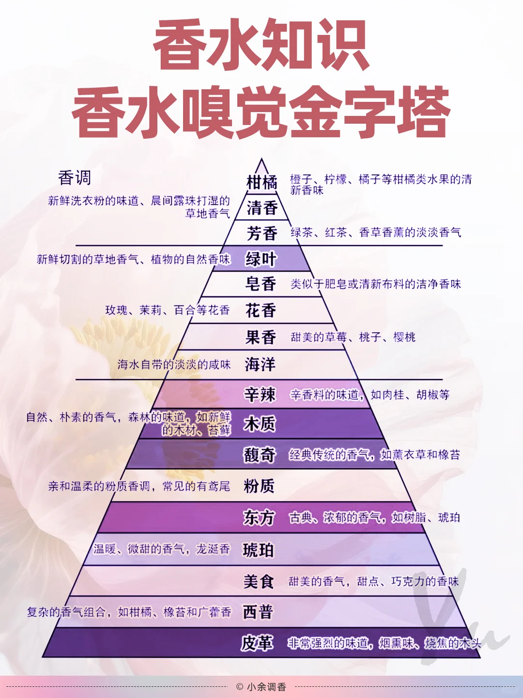 香水知识：一图看懂香水的嗅觉金字塔