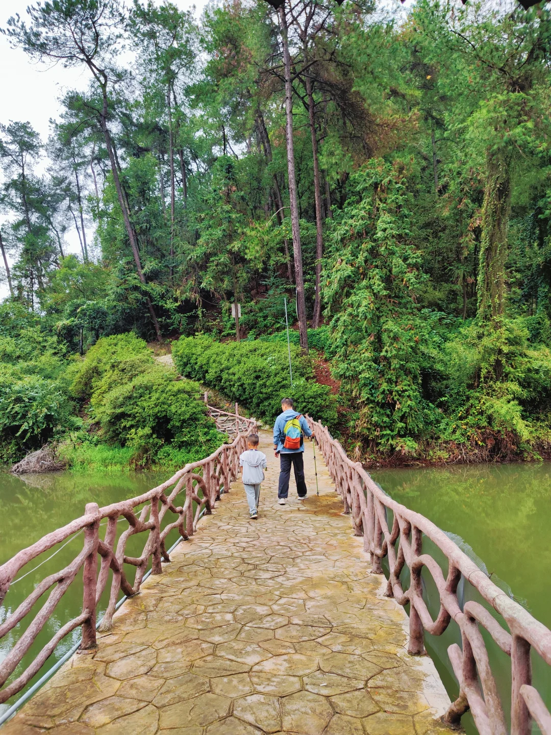 ?重庆遛娃|亲子环线徒步——南山春天岭