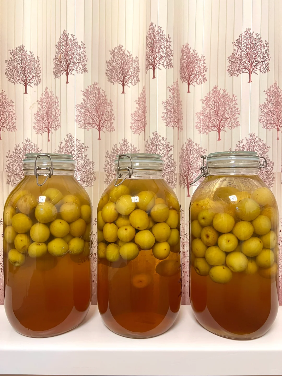 2024年泡的青梅酒都很成功。/附加干货分享