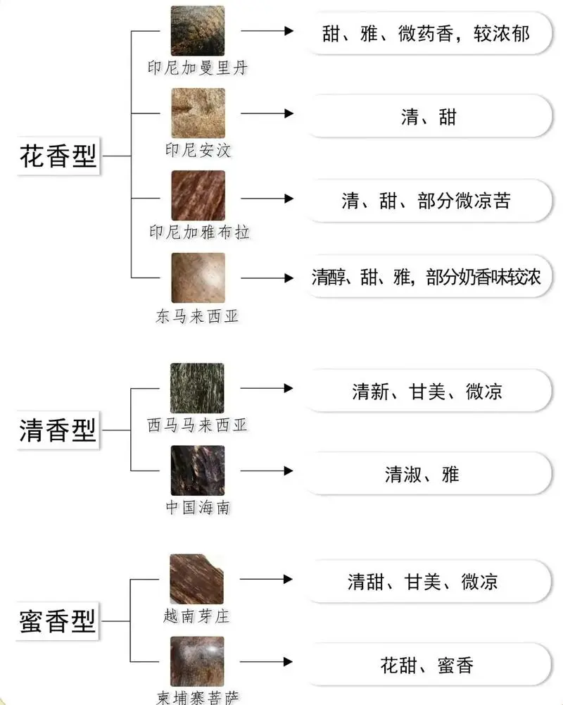 香文化入门25种沉香的香型汇总