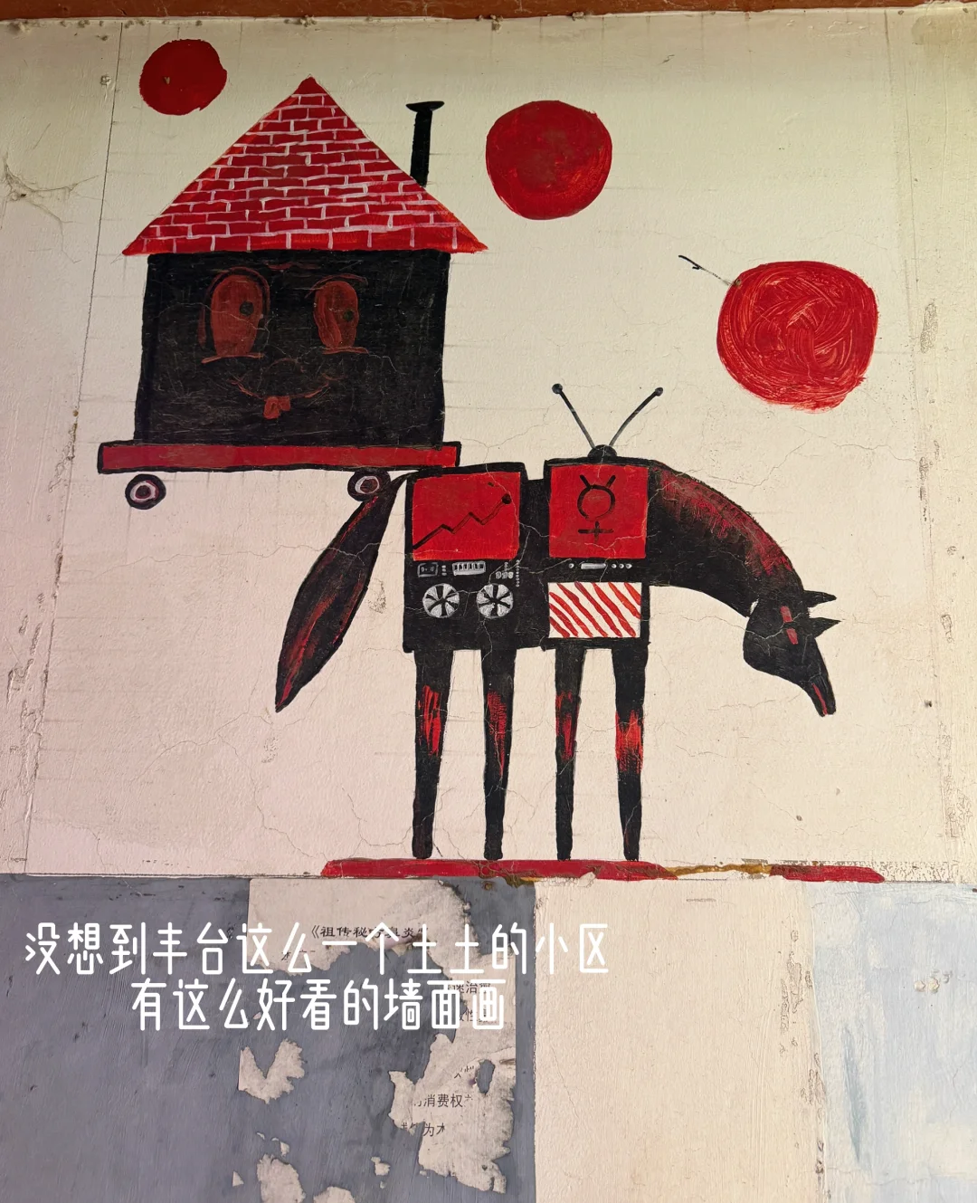 河北人不语 只是默默的看着我的露露