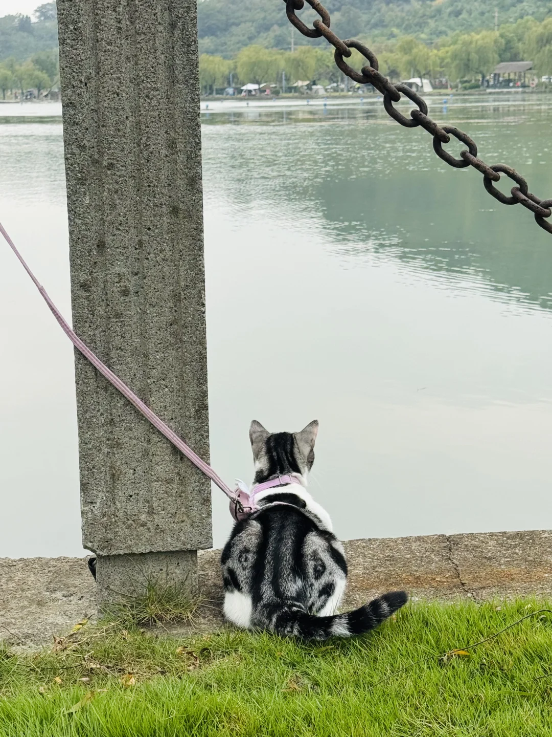 南北湖露营全攻略:湖畔露营+山水浪漫