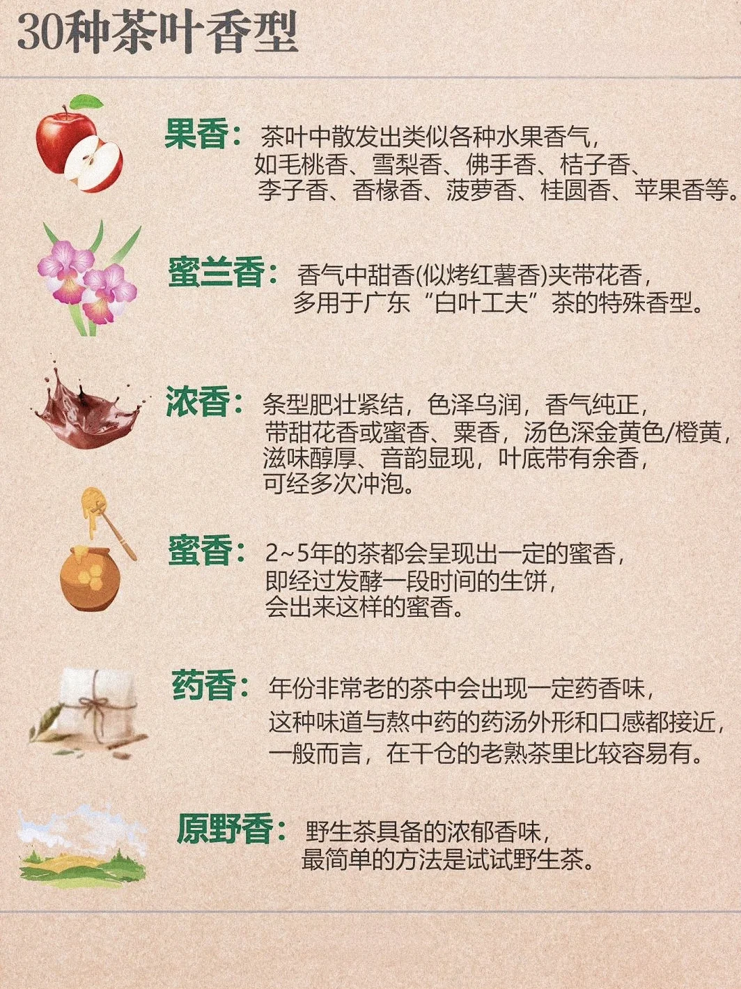 茶知识｜3⃣️0⃣️种茶叶香型，知道一半算你厉害