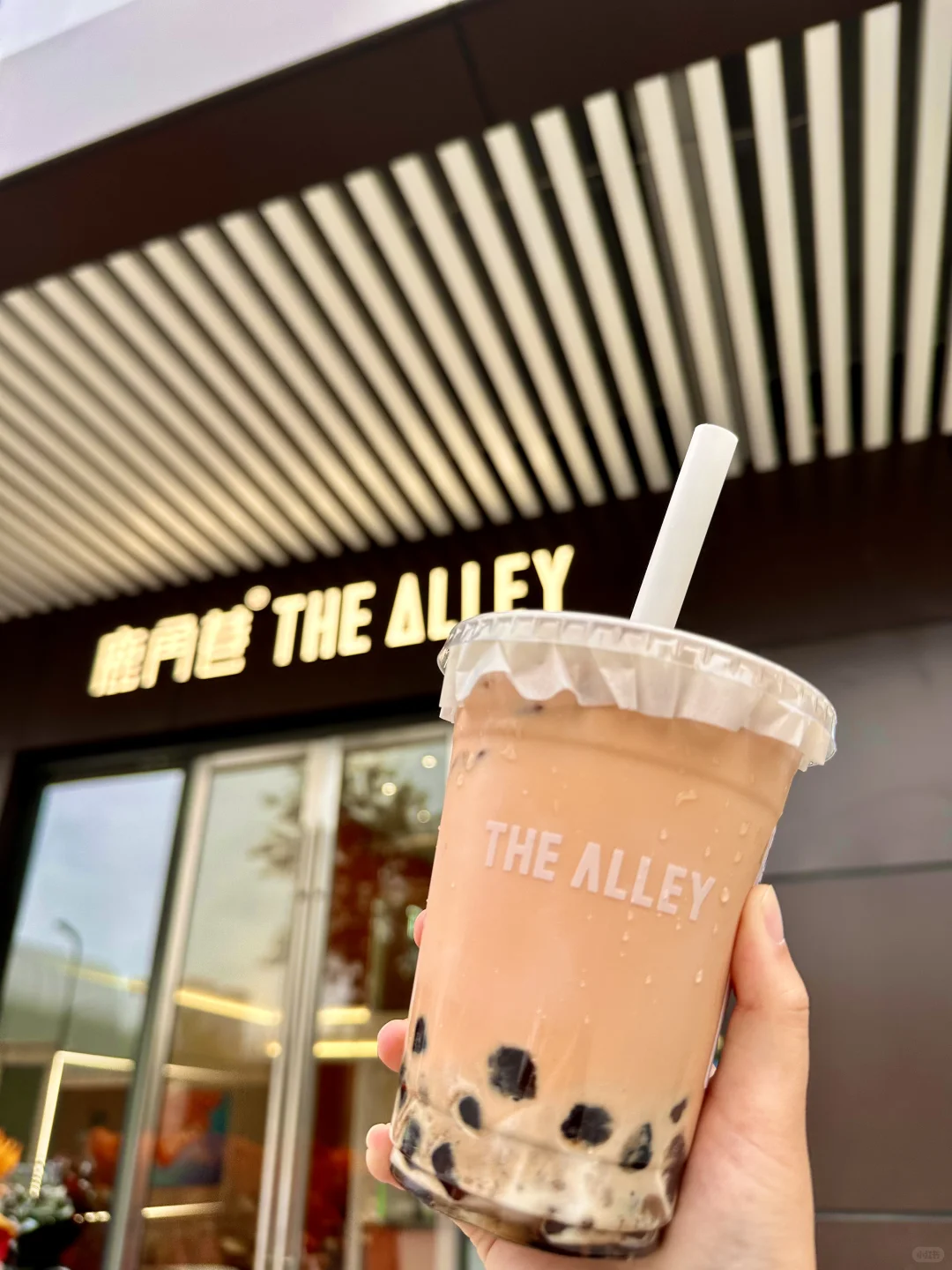 邯郸?！交换奶茶！今天喝什么～