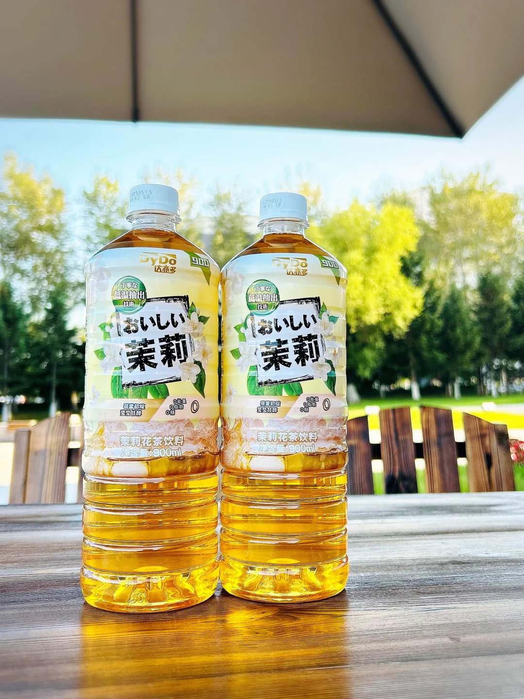 DyDo达亦多茉莉花茶