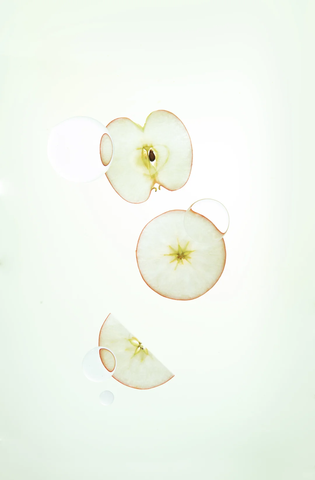 近期拍摄｜瘦瘦小绿瓶