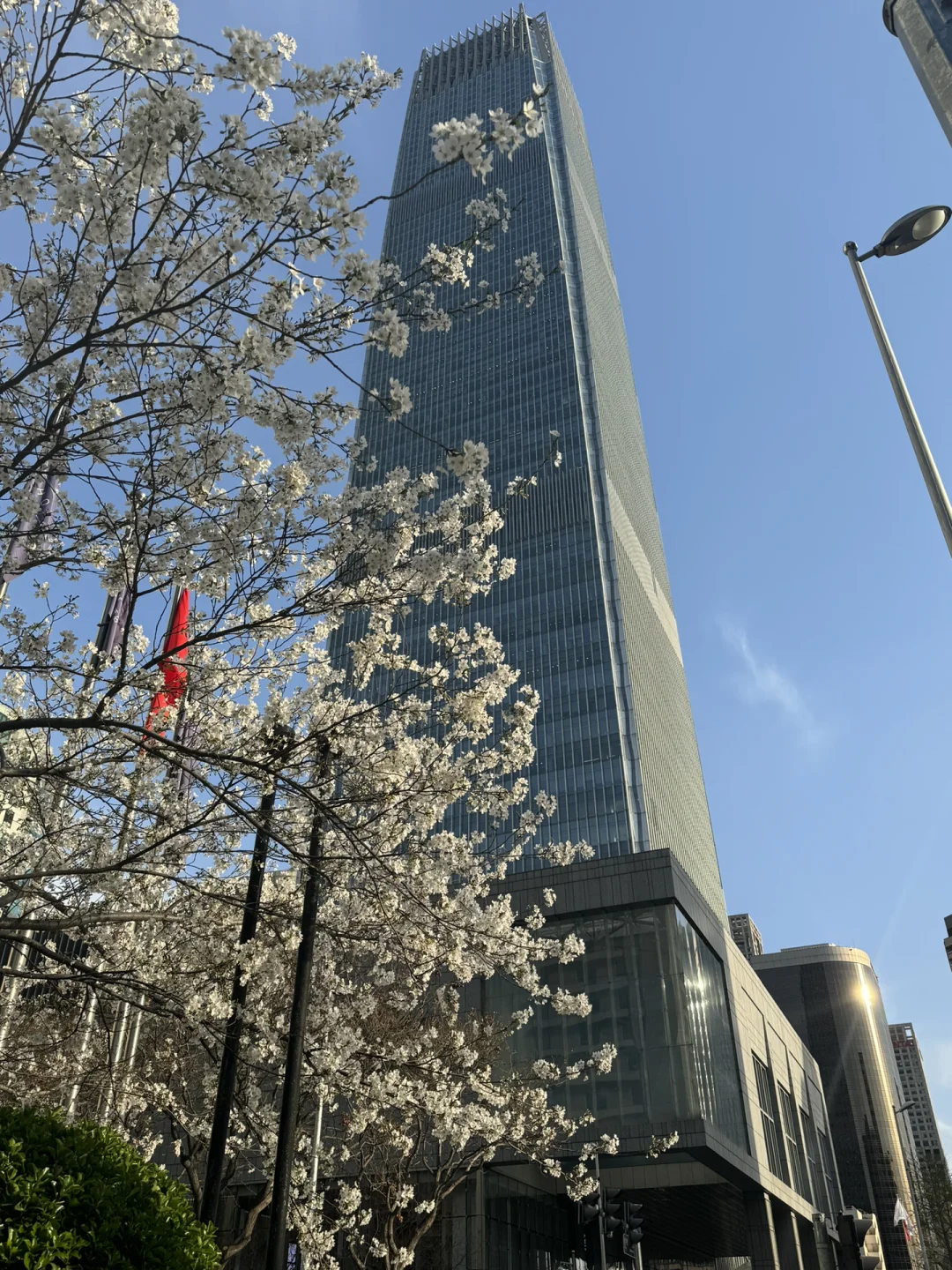 国际贸易律师对104%关税的分析和思考（摸鱼