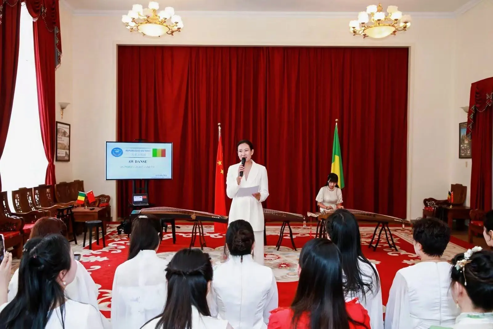 ❗️马里大使馆活动，实习生助力沟通