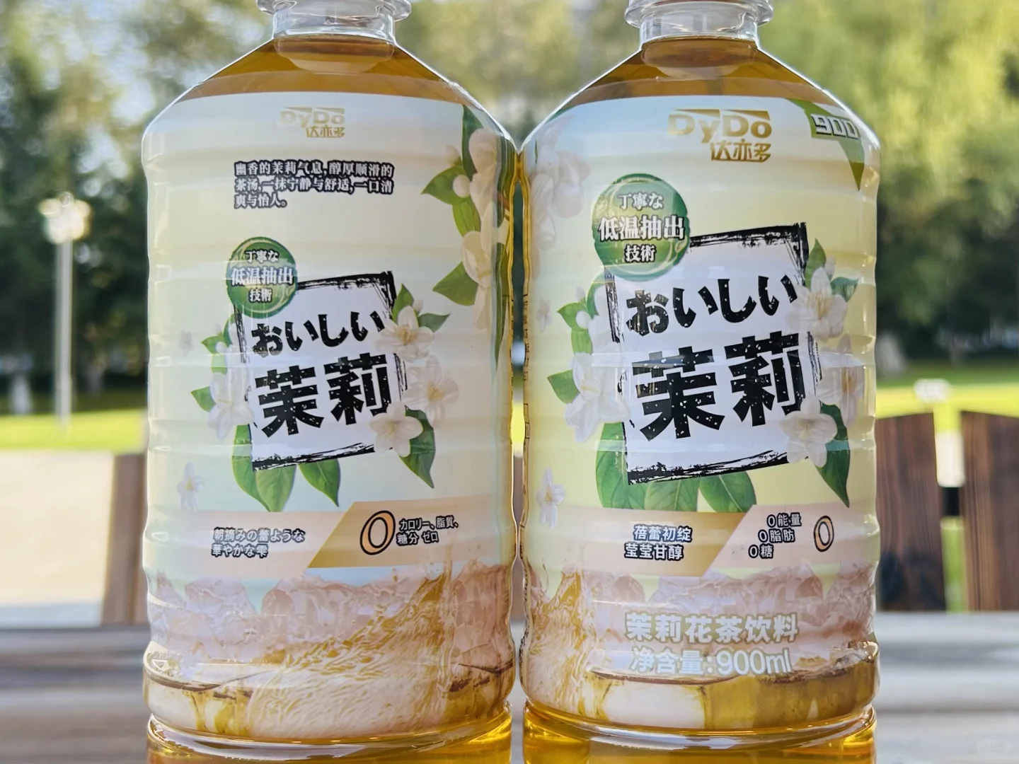 DyDo达亦多茉莉花茶