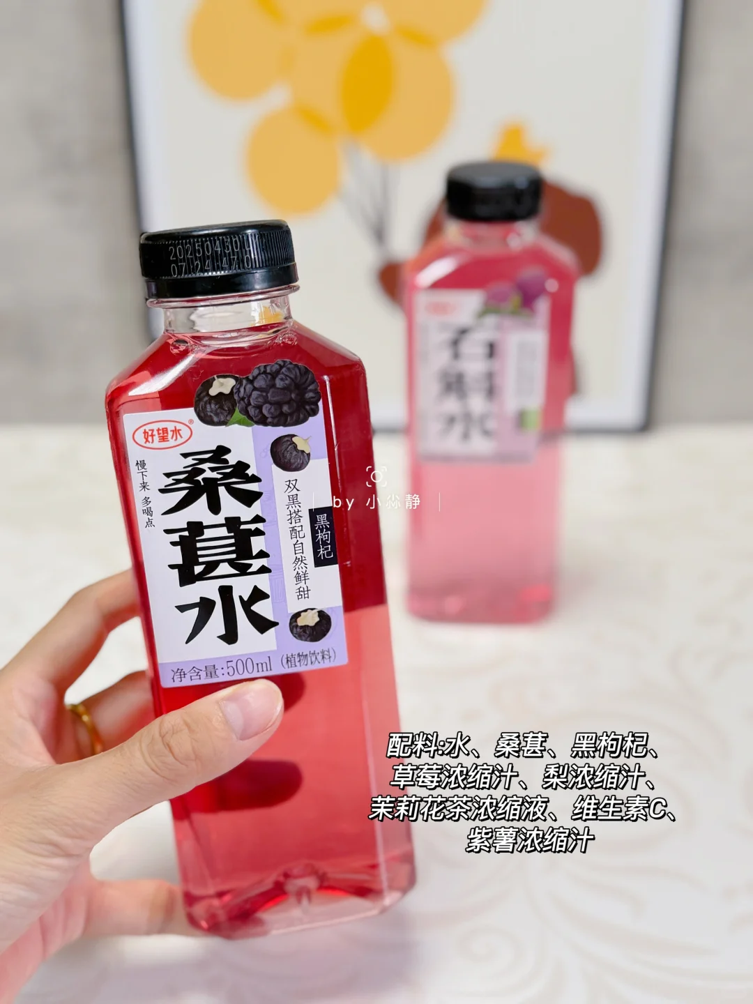 好望水桑葚&石斛你喜欢哪一款呢⁉️