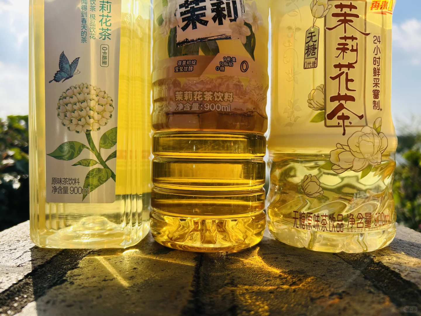 DyDo达亦多茉莉花茶