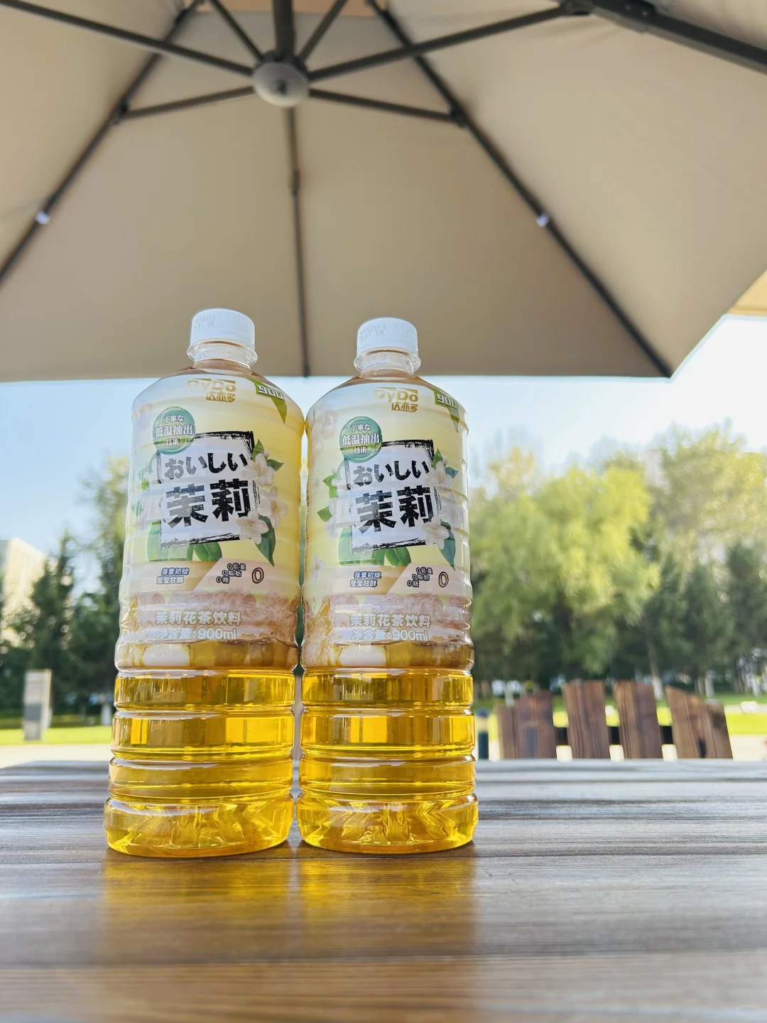 DyDo达亦多茉莉花茶