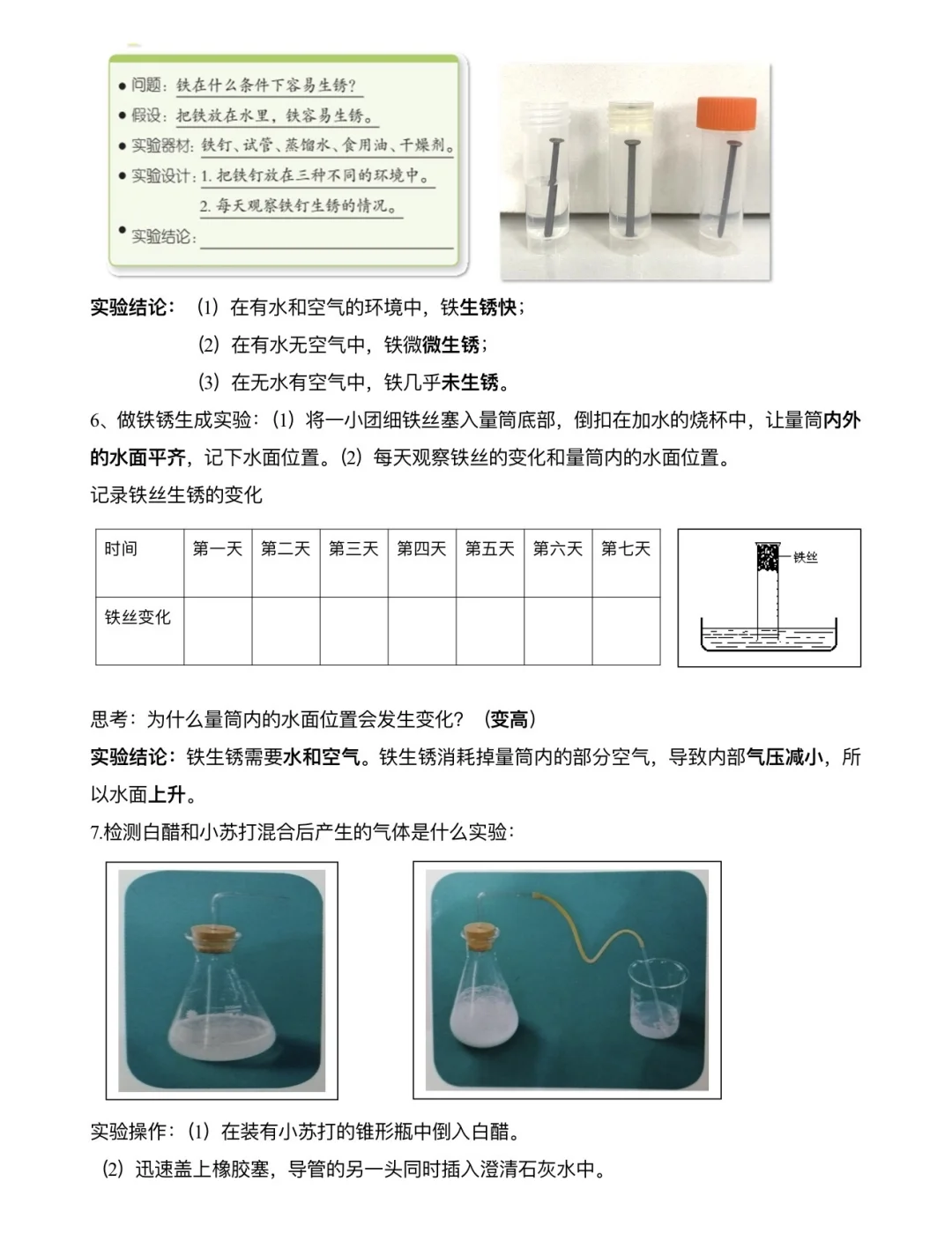 苏教版｜六上科学知识点总结（含实验复习）