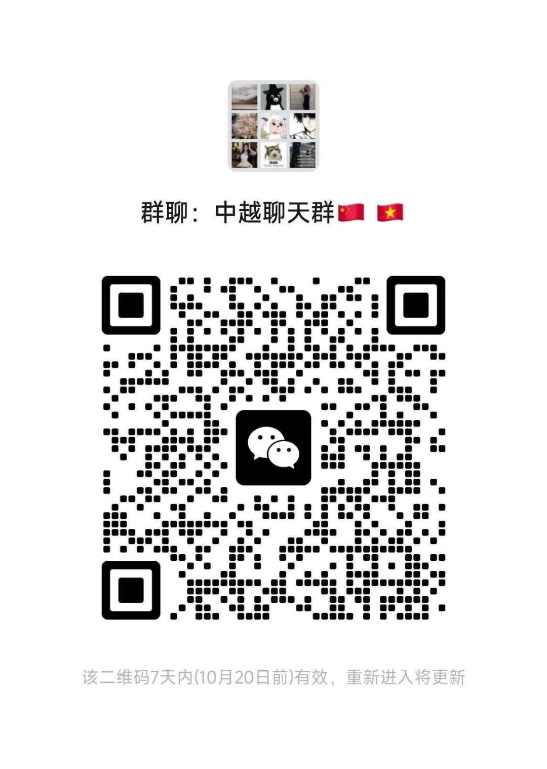 Sino-Vietnamese Cultural Exchange Group.