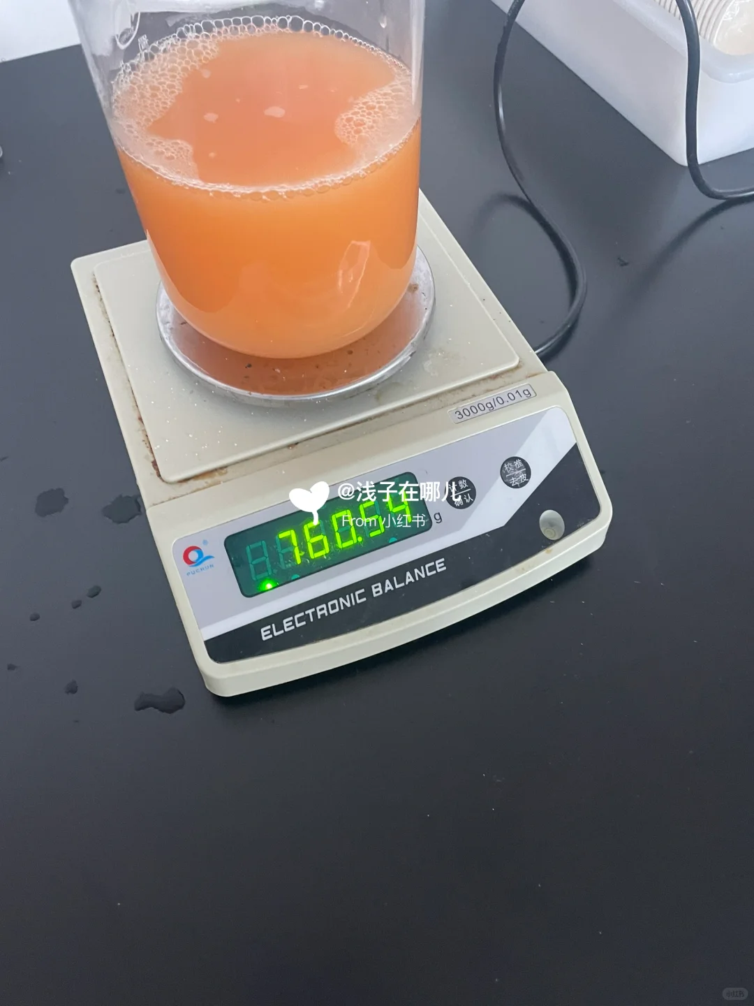 复合果蔬汁饮料制作·大学·食品