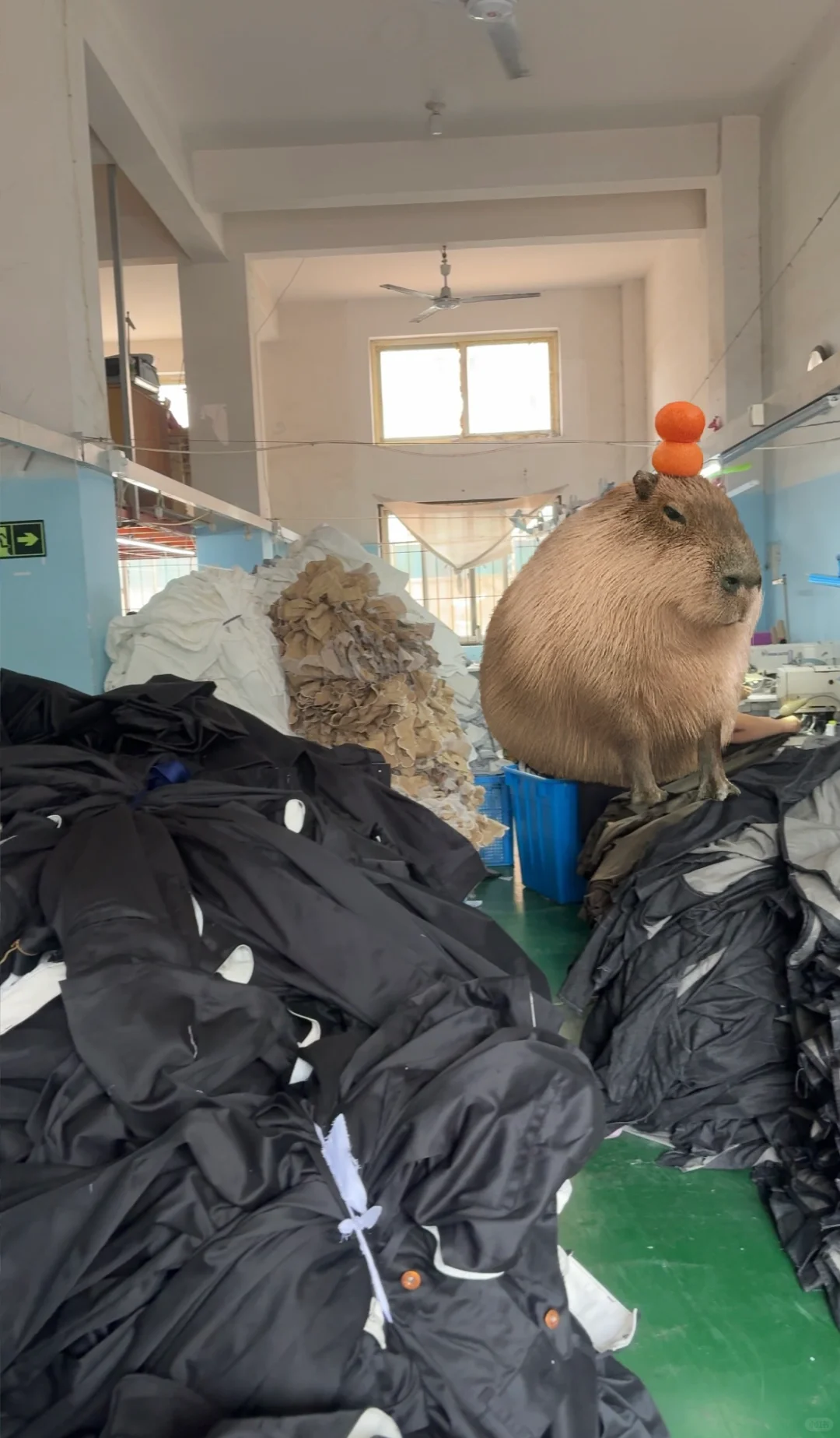 家里的服装厂没生意