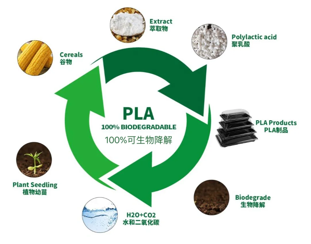 ?环保又高效！揭秘PLA材料的3D打印魅力?