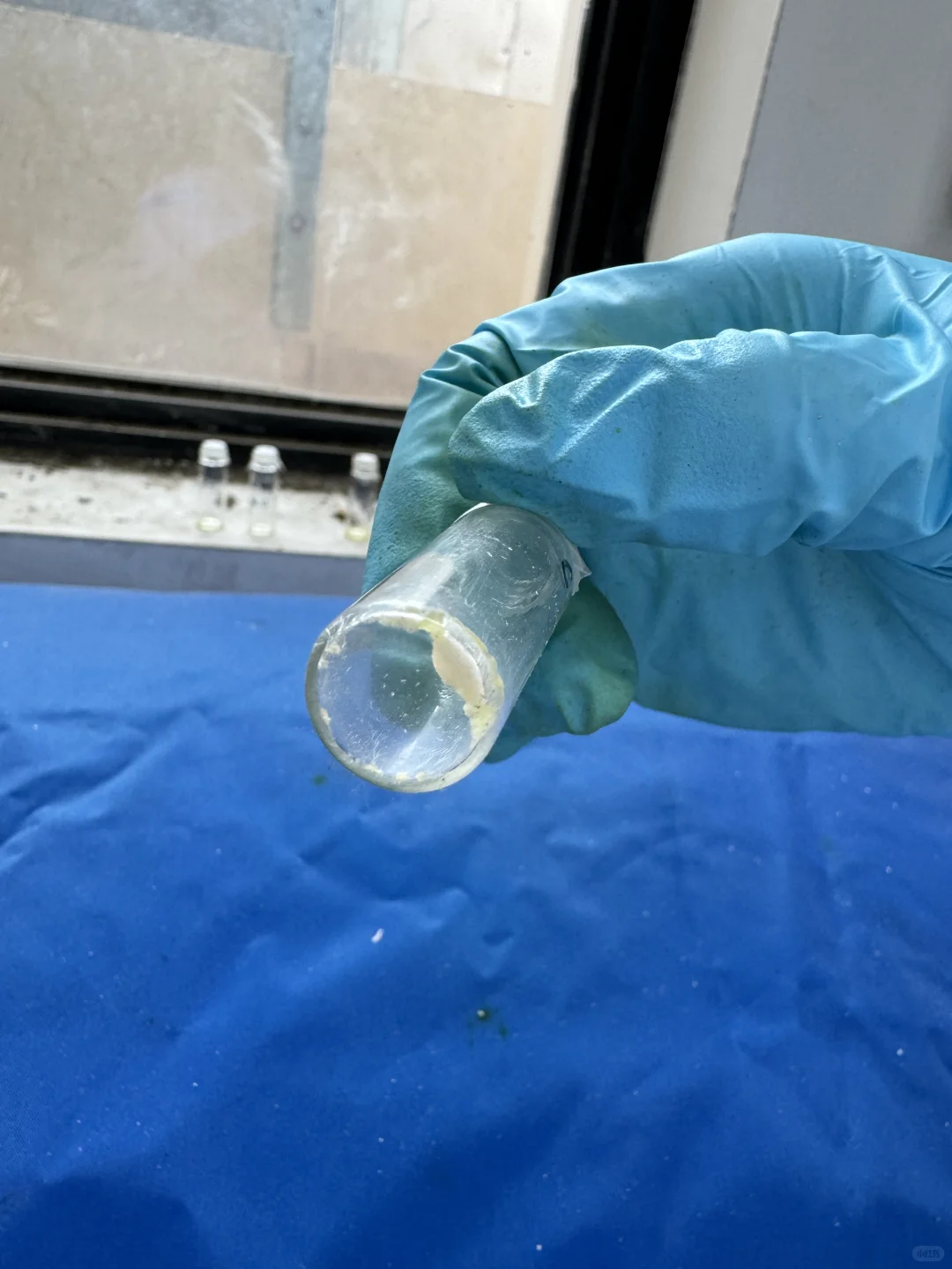 单晶培养，求助?