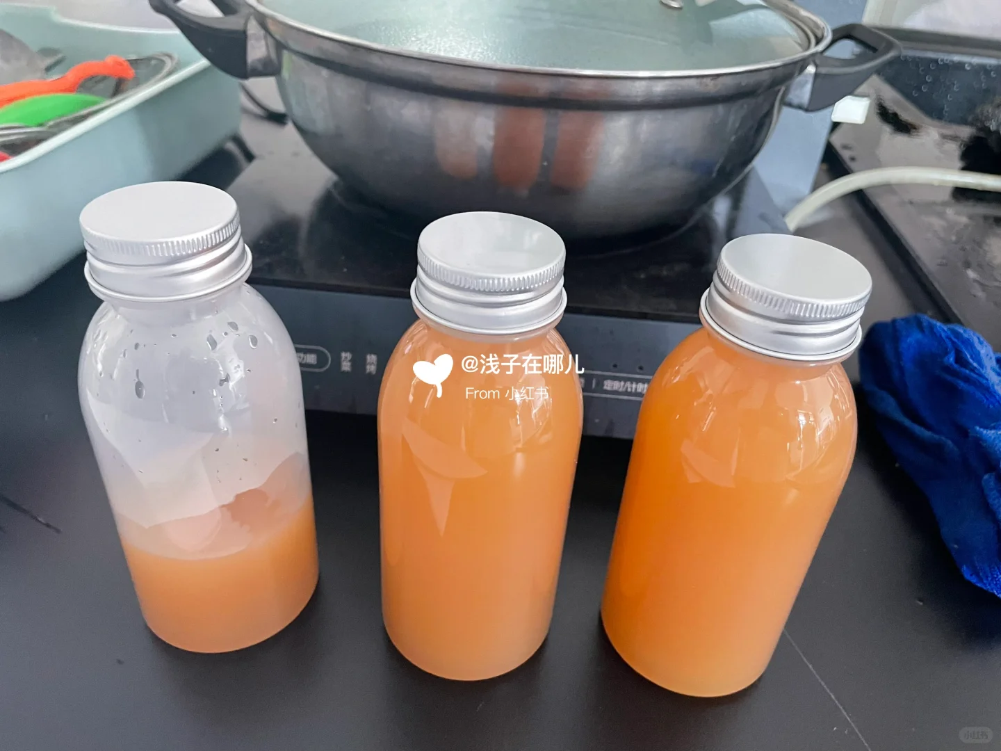 复合果蔬汁饮料制作·大学·食品