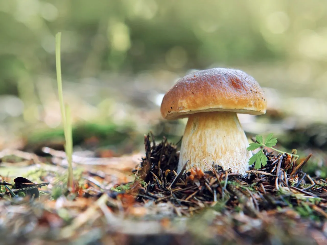 “云南主理人”梦幻联动!