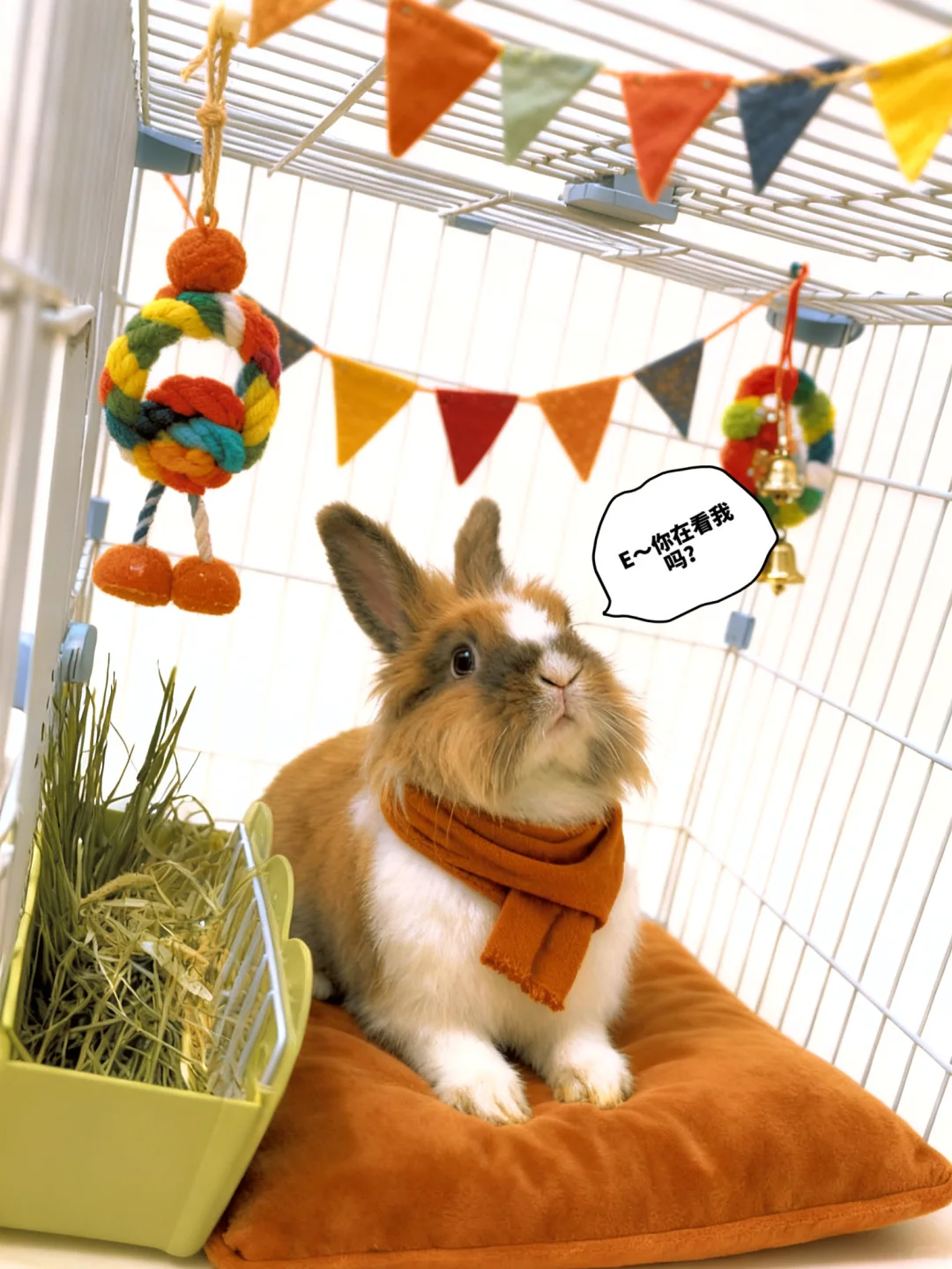 工作日plog丨揣着一口袋的开心满载而归