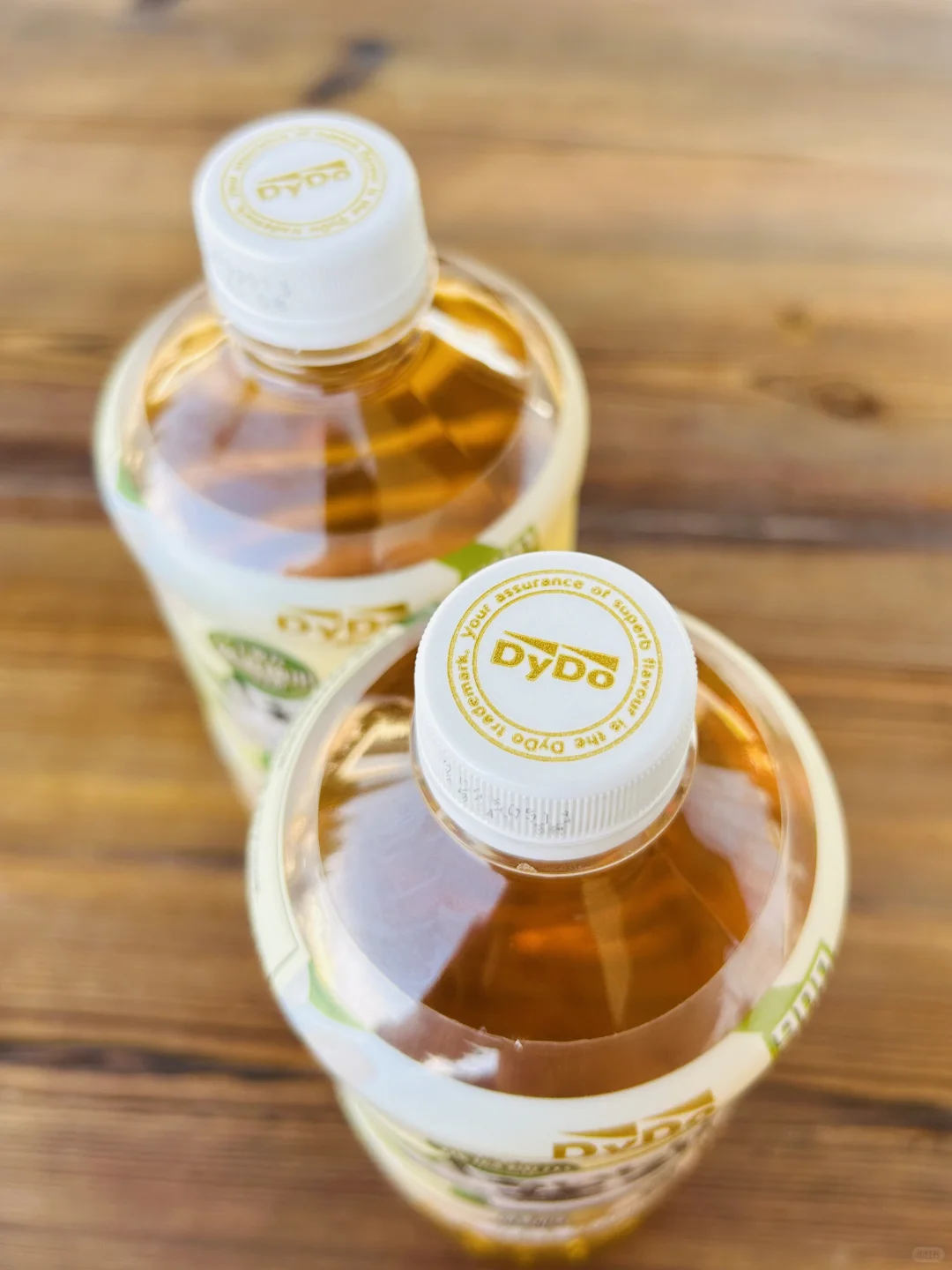 DyDo达亦多茉莉花茶