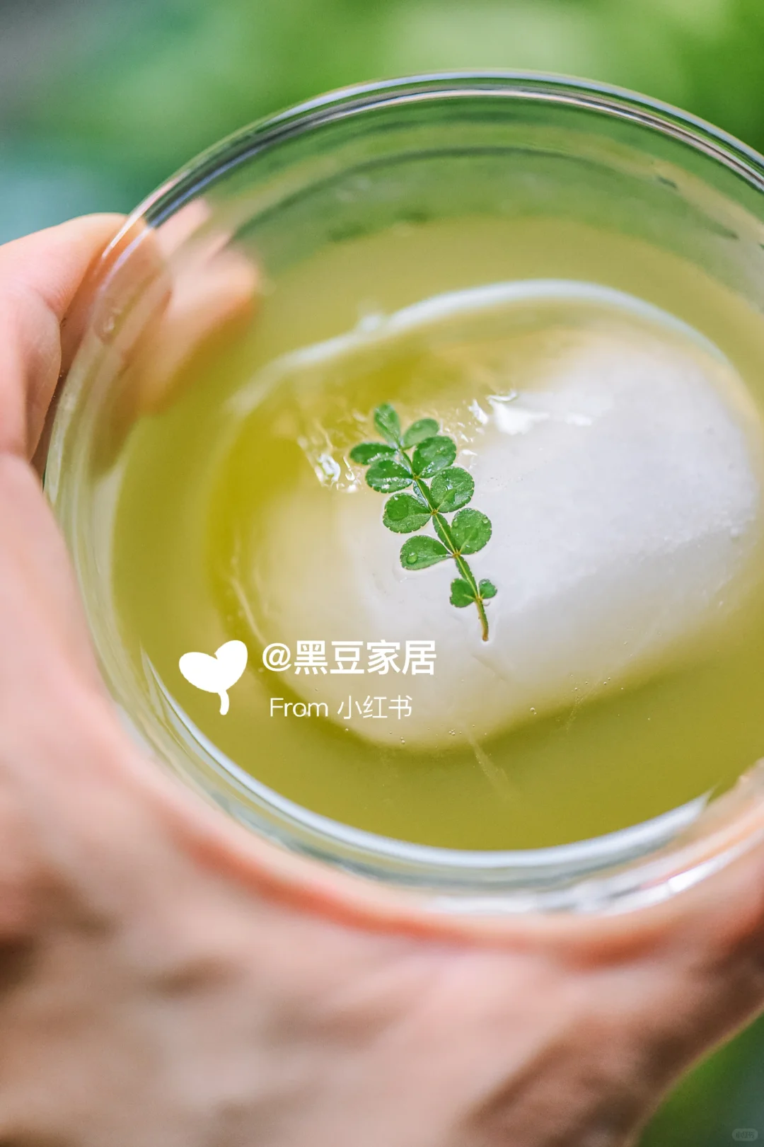 【北冰洋HPP羽衣甘蓝?复合果蔬汁】