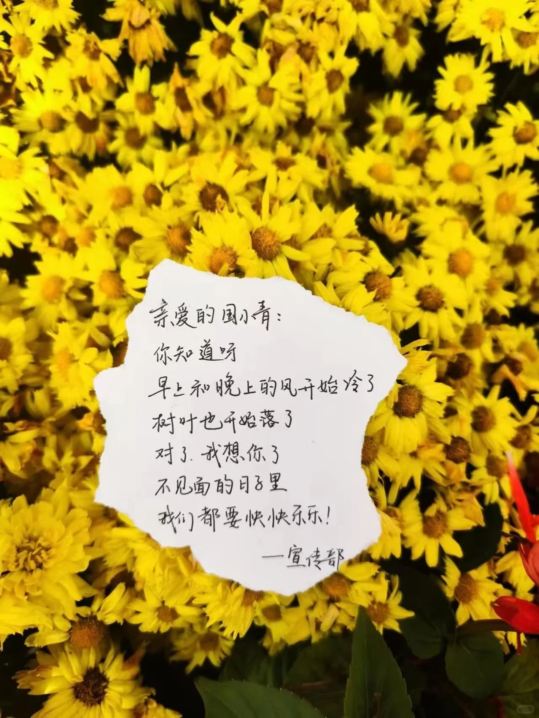 河北大学国际青年文化交流协会