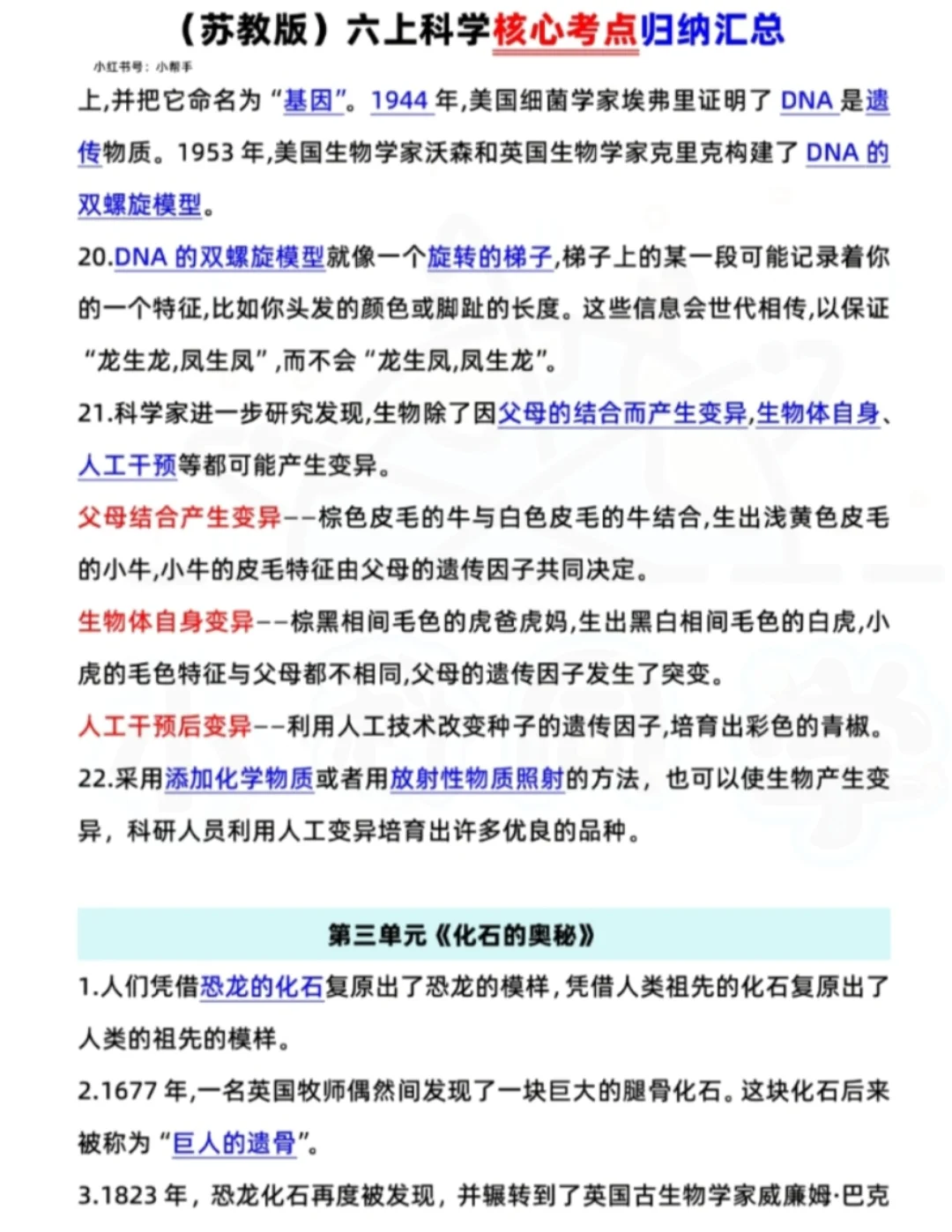 苏教版科学六年级上册期中期末核心考点汇总