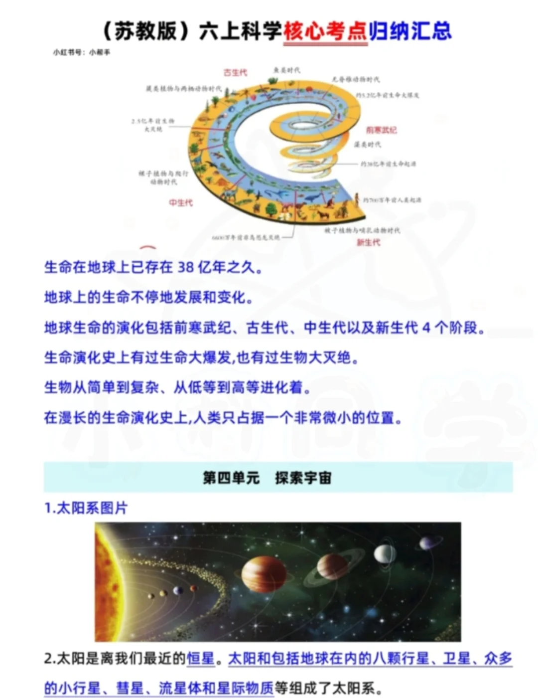 苏教版科学六年级上册期中期末核心考点汇总