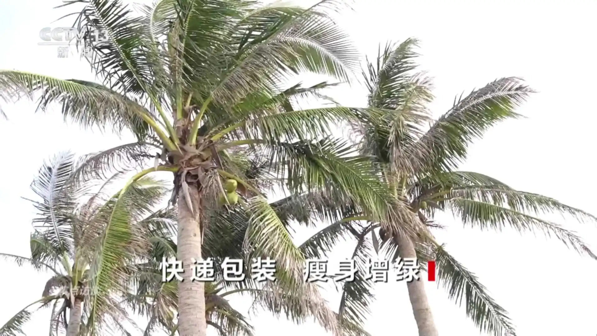 0819 快递包装 瘦身增绿