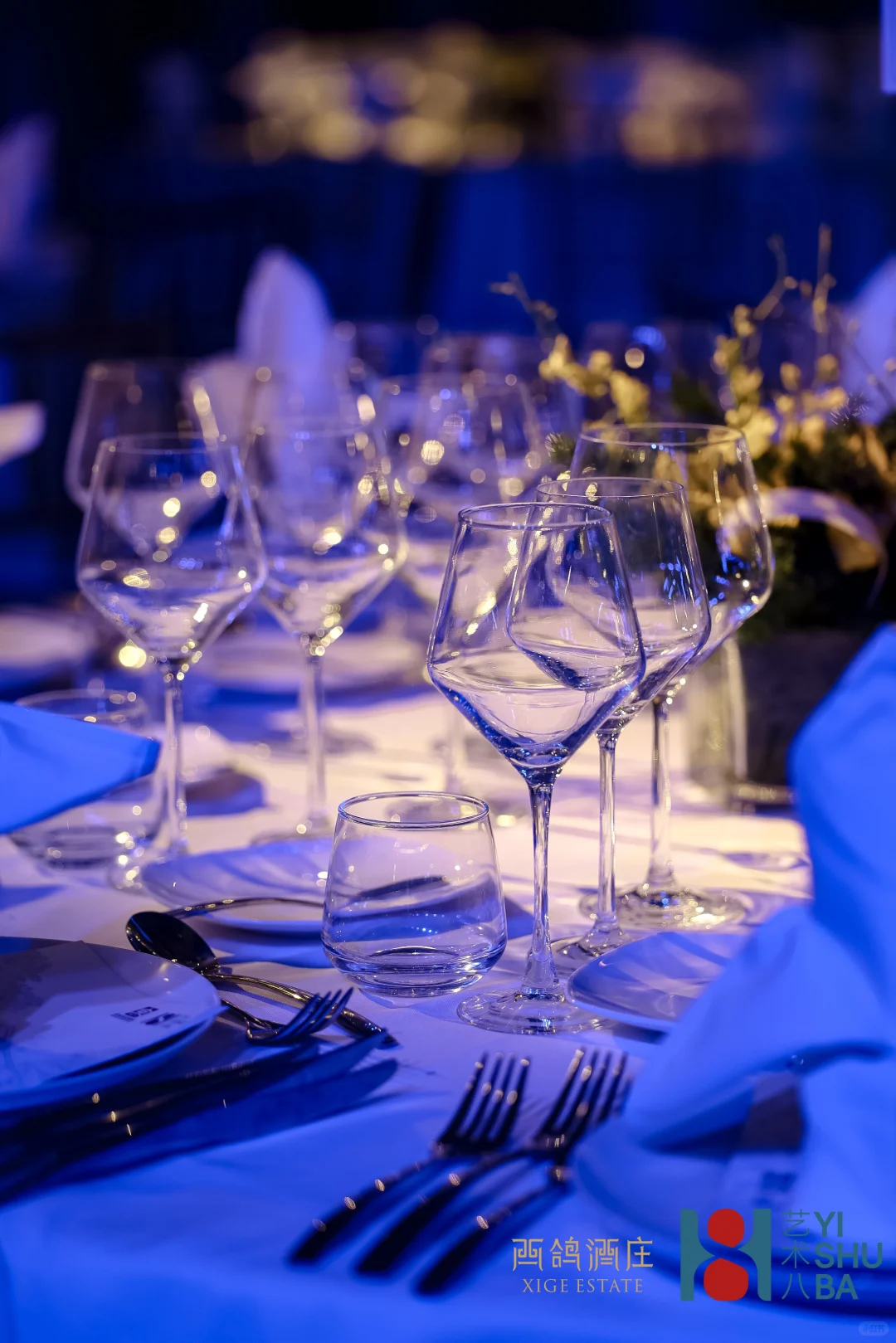 ✨2025北京文化论坛｜光影百年 · 中法同行✨